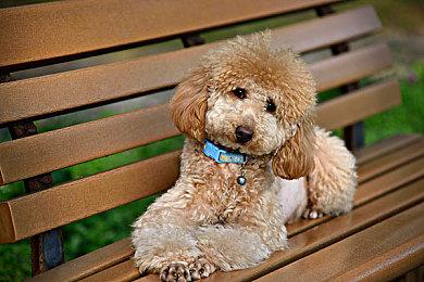 育碧《刺客信条：英灵殿》明天开始免费游玩活动